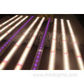 1000W Led Light Uv Ir Plants Grow Lights